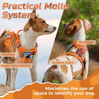 rabbitgoo Tactical Dog Harness Medium Sized Dog, No Pull Military Service Vest with Handle & Molle, Easy Control for Training Walking, Adjustable Reflective Straps, Orange, M
