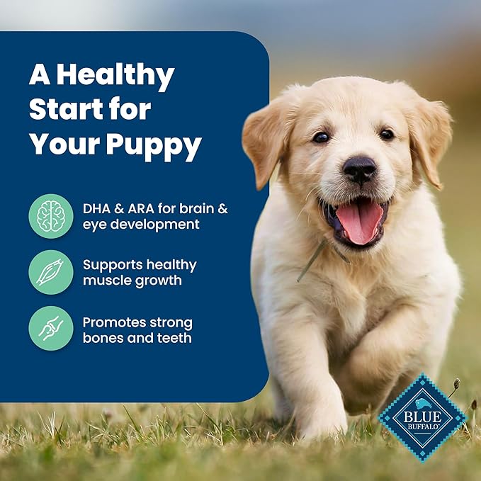 Blue Buffalo Life Protection Formula Puppy Dry Dog Food with DHA and ARA, Made with Natural Ingredients, Lamb & Oatmeal Recipe, 30-lb Bag