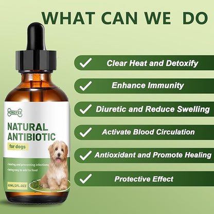 Natural Antibiotic for Dogs – Chicken Flavor 2oz | Supports Relieve Skin Allergy itching and Yeast infections, Urinary Tract Health, Wound Healing & Dental Care |Dog Supplements, Safe for All Ages