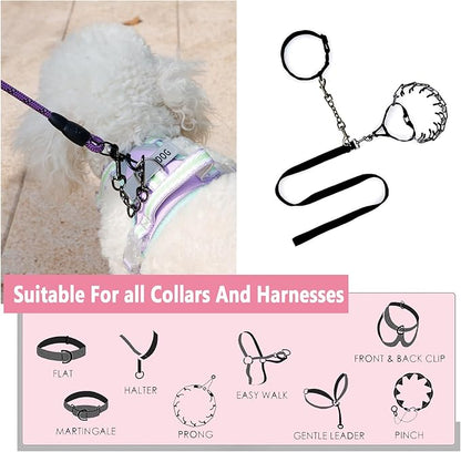 2 PCS Dog Collar Metal Safety Clip, Harness Collar Leash Chain Connector, Heavy Duty Double End Spring Backup Buckle Clasp, Escape-Proof Safety Accessory (Small, Black)