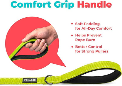 Best Pet Supplies Voyager Reflective Dog Leash or Collar with Neoprene Handle, for Small, Medium, and Large Breed Puppies, Cute and Heavy Duty for Walking, Running and Training - Lime Green (Leash), M