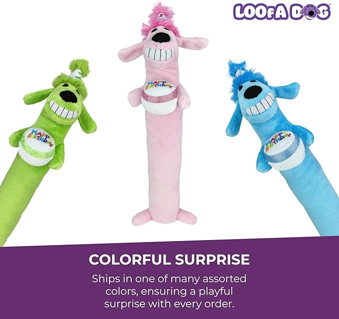 Multipet Loofa Dog Plush Toy w/ Birthday Hat - Squeaky Dog Toy for Dogs - Soft Plush - Stuffed Animal Dog Toys for Playing (1 Count, 12”, Random Color Surprise)