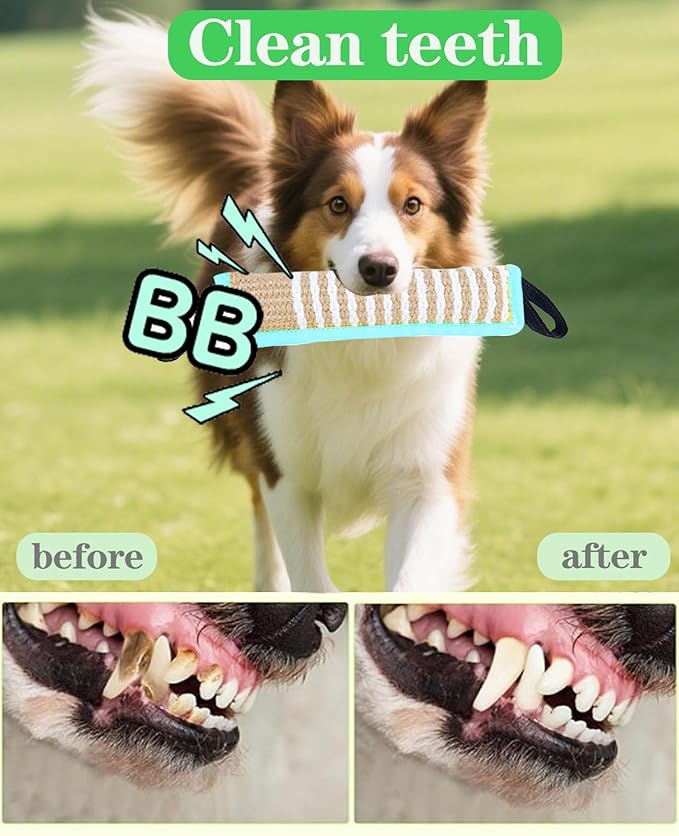 Clysoru Squeaky Tug Toy for Dogs Jute with 2 Strong Handles Lasting Training Equipment Puppy to Large Dog Interactive Toys of War Pull Indestructible Rope Pet Crinkle Teething (ciel)