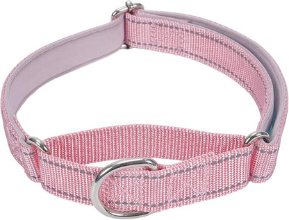 SGODA Martingale Dog Collar, Reflective Nylon Padded Dog Training Collars for Small Dogs, Pink S