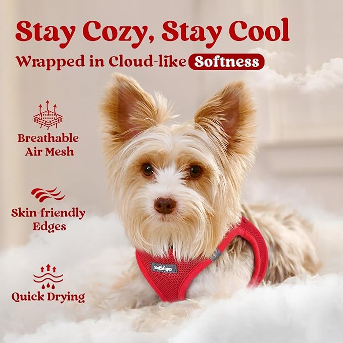 rabbitgoo Small Dog Harness, Step-in Soft Mesh Puppy Vest with Safety Buckle, Breathable Reflective Pet Harness for Large Dogs, Red XXL
