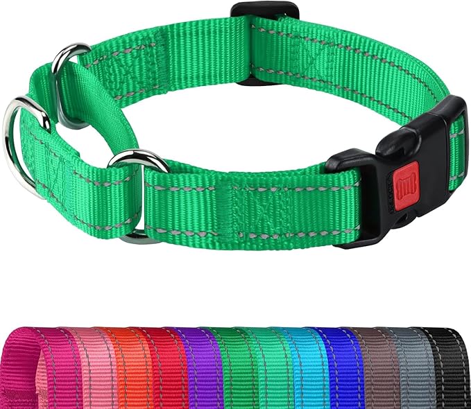 Joytale Martingale Collar for Dogs, Reflective Heavy Duty for Safety, Quick Release Buckle, Adjustable Nylon Collars for Puppy and XSmall Dogs Walking Training, Green,XS