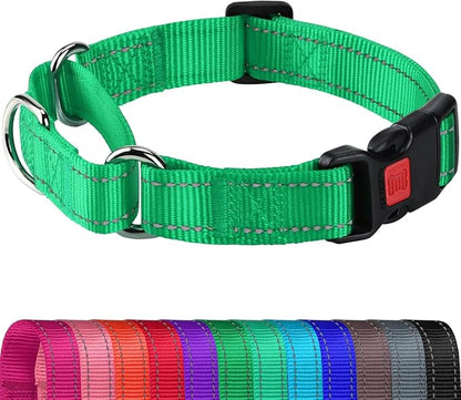 Joytale Martingale Collar for Dogs, Reflective Heavy Duty for Safety, Quick Release Buckle, Adjustable Nylon Collars for Puppy and XSmall Dogs Walking Training, Green,XS