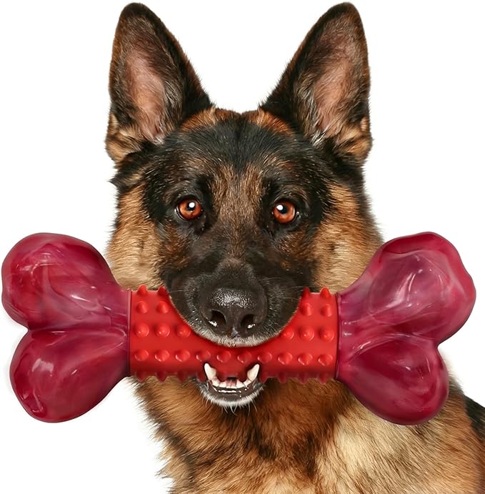 Apasiri Tough Dog Toys for Aggressive Chewers: Beef Flavored Long Lasting Dog Bones for Large Dogs, Heavy Duty Nylon & Rubber Dog Chew Toys to Keep Them Busy, Medium & Large Breed (20-80 lbs), Red
