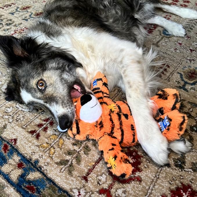 KONG Wild Knots Tiger Dog Toy (Small/Medium) Durable Internal Knotted Rope, Minimal Stuffing for Less Mess – Soft Plush Chew Toy for Dogs