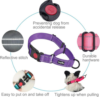haapaw Martingale Dog Collar with Quick Release Buckle Reflective Dog Training Collars for Small Medium Large Dogs