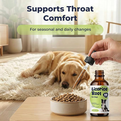 Licorice Root Drops for Dogs – Herbal Digestive & Throat Comfort Support, Licorice Root Extract Liquid for Sensitive Stomach & Daily Wellness, Easy-to-Mix Dog Supplement, 2 fl oz (60 mL)