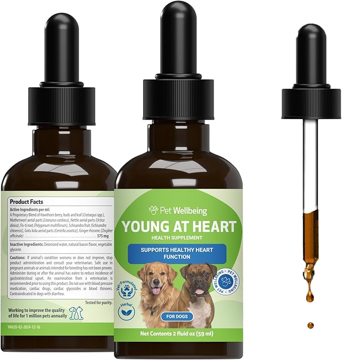 Pet Wellbeing Young at Heart for Dogs - Senior Heart Health Support, Cardiovascular Wellness with Hawthorn & Motherwort - NASC Certified & Vet-Formulated - 2 oz Liquid Formula