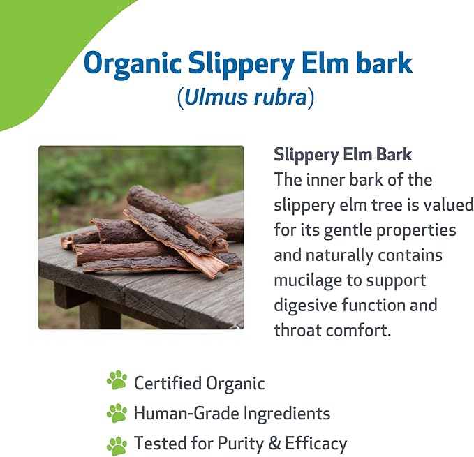 Pet Wellbeing Slippery Elm for Dogs - Vet-Formulated Dual Digestive & Throat Support - Organic Single Herb Extract - Holistic Soothing Dog Supplement - Liquid Formula 2 oz (59ml)
