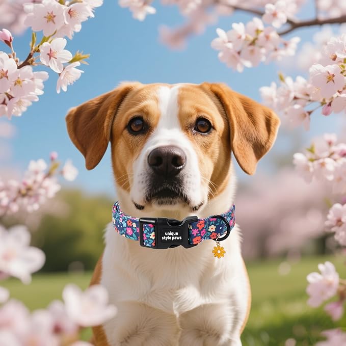 Unique style paws Dog Collar Plastic Buckle with Pendant Puppy Collar for Spring Summer Blue-Colored Flower for Small Medium Large Boys Girls Dogs