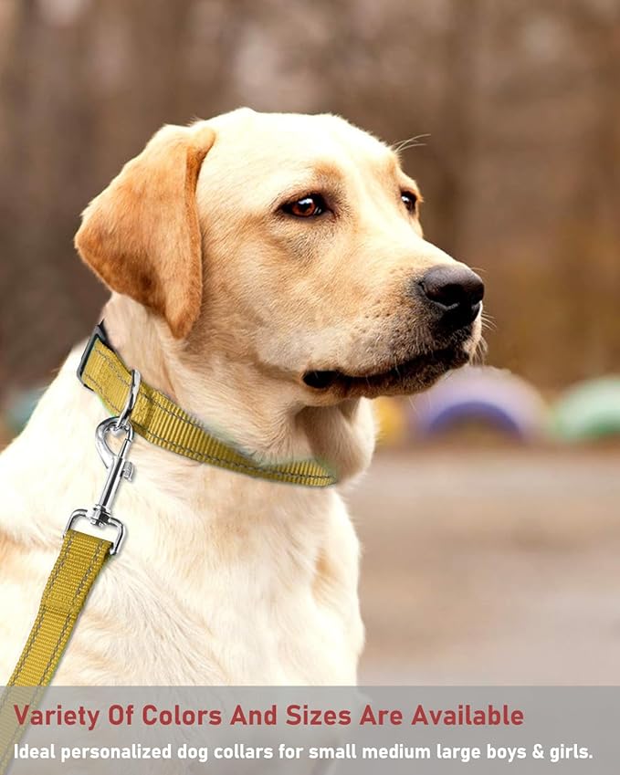 Reflective Dog Collar with Buckle Adjustable Safety Nylon Collars for Small Medium Large Dogs, Brown XL