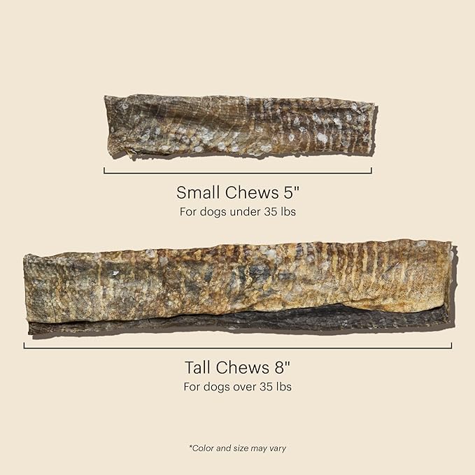 The Honest Kitchen Ocean Chews™ Crispy Cod Fish Skins Dog Treats, 2.75 oz (Beams™)