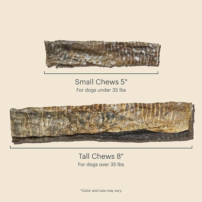 The Honest Kitchen Ocean Chews™ Crispy Cod Fish Skins Dog Treats, 2.75 oz (Beams™)