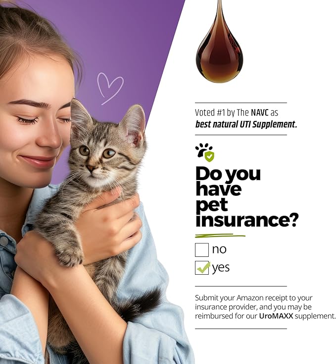 UroMAXX, Cat & Dog Urinary Tract Treatment, Bladder & Kidney Support for Dogs and Cats, Powerful Yet Gentle Pet Care, with Liquid Cranberry & Glucosamine, Chicken Flavor, 6 oz Bottle, 1 Pack
