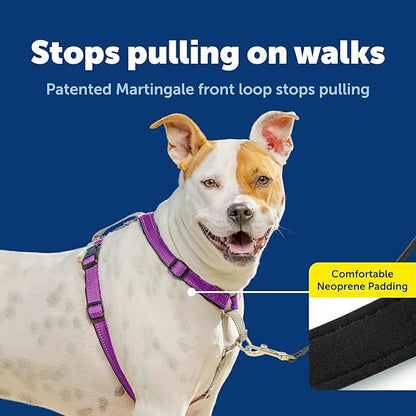 PetSafe 3-in-1 Harness - Comfortable Easy-Walk Dog Chest Harness with Front Leash Attachment to Reduce Pulling, Choking & Gagging - Dog Obedience Gear - Medium - Plum