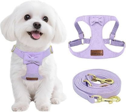 Guiding Star Dog Harness Small Sized Dog with Multifunction Leash, No Pull Puppy Dog Harness and Leash Set Training, Cute Soft Adjustable Dog Walking Harness Pet Vest Harness (Purple-XXS)