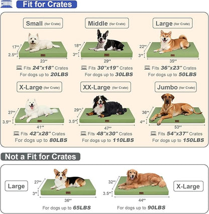 Outdoor Orthopedic Dog Bed for Medium Dogs & Cats, Waterproof Flat Pet Mat with Egg Crate Foam & Washable Removable Oxford Cover, 30x20 Inch, Light Green