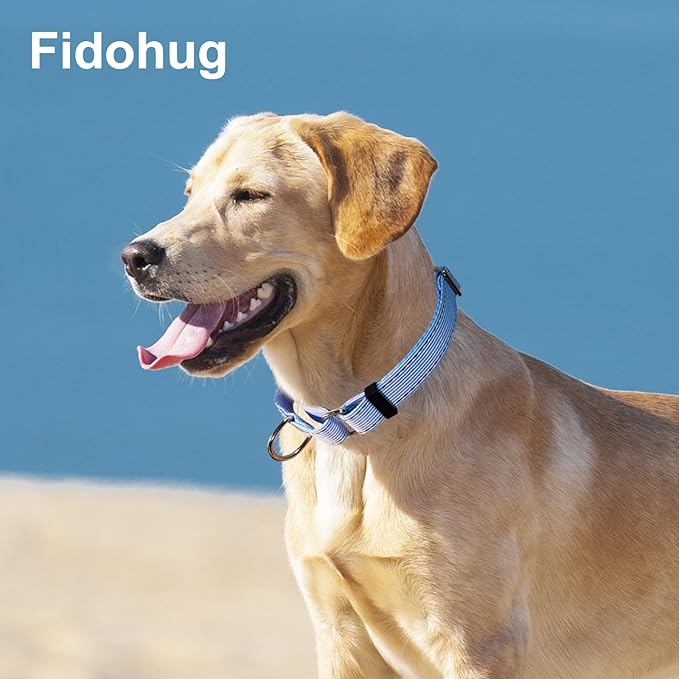 Reflective Martingale Collar for Dogs Nylon Training Collar with No Buckle, No Pull Escape Proof Dog Collar for Small Dogs（Blue Stripe，S）