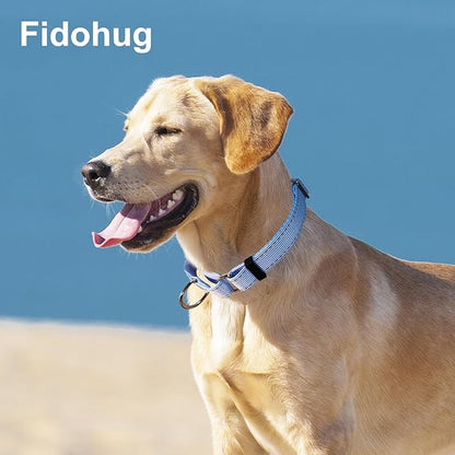 Reflective Martingale Collar for Dogs Nylon Training Collar with No Buckle, No Pull Escape Proof Dog Collar for Large Dogs（Blue Stripe，L）