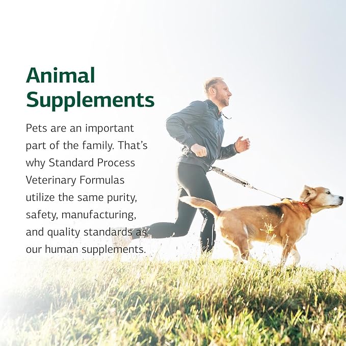 Standard Process Canine Hepatic Support - Dog Supplement to Aid Liver Health - Hepatic Immune Function & Liver Metabolism Support Supplement - Powder Supplement for Dogs - 110 g