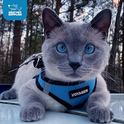 Best Pet Supplies Voyager Step-in Air Harness - All Weather Mesh, Reflective, No Pull Harness for Dogs, Cats - Secure with Hook & Loop Fastener, Buckle, Double D-Rings - Baby Blue/Black Trim, S