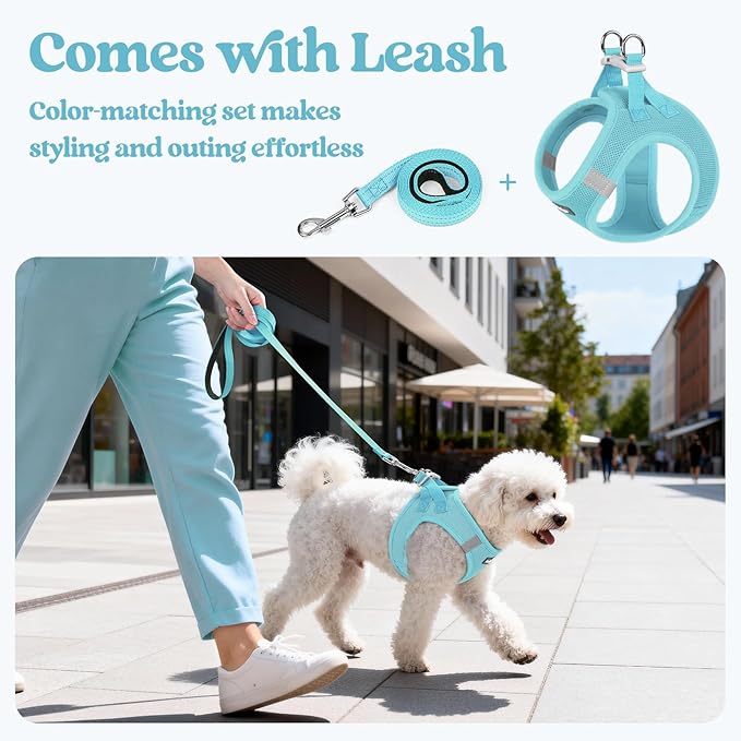 rabbitgoo Dog Harness Small Medium Sized and Leash Set, Step in Soft Light Puppy Vest, Breathable Mesh Pet Harness, Reflective for Safe Easy Walking, Mint Blue XL