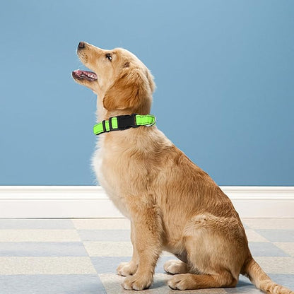 Reflective Dog Collar, Adjustable Soft Neoprene Padded Nylon Pet Collars with Buckle for Puppy and Small Dogs, Cats, Green,XS