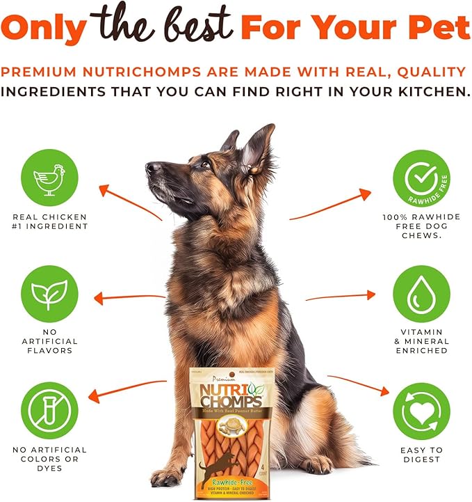 NutriChomps Dog Chews, 6-inch Braids, Easy to Digest, Rawhide-Free Dog Treats, Healthy, 4 Count, Real Peanut Butter Flavor