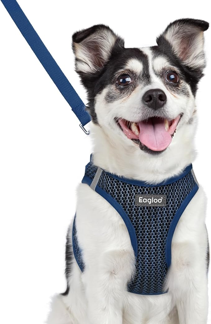 Eagloo Small Dog Harness and Leash Set, Step in Puppy Vest with Breathable Soft Mesh, Walking Reflective Pet Harness for Medium Small Dogs, Navy Blue, L