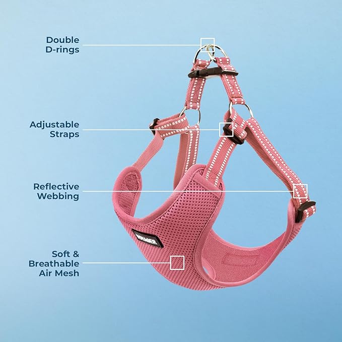 Best Pet Supplies Voyager Adjustable Step-in Flex Breathable Mesh Dog Harness for Small Medium Large Dogs (Pink), XS