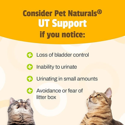 Pet Naturals UT Support Soft Chews for Cats, Urinary Tract Health with Cranberry and D-Mannose, Chicken, 60 Count