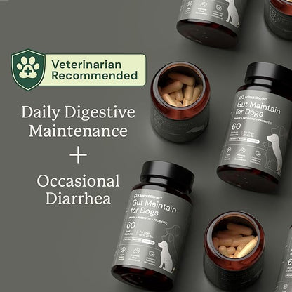 Animal Biome Probiotics for Dogs with S Boulardii, Gut Maintain (60 Capsules) – Triple-Action Medium Dog Probiotics, Prebiotics & Phage Supplements for Gut Health, Firmer Stool & Diarrhea Support
