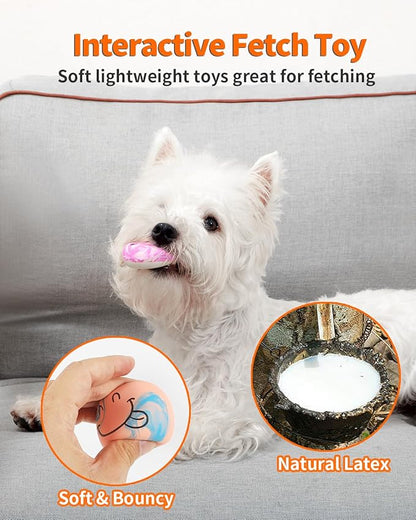 SCHITEC Squeaky Dog Toys, [6 Pack] Interactive Latex Rubber Squeak Ball Toy, Soft Fetch Play Balls for Puppy Small Dogs