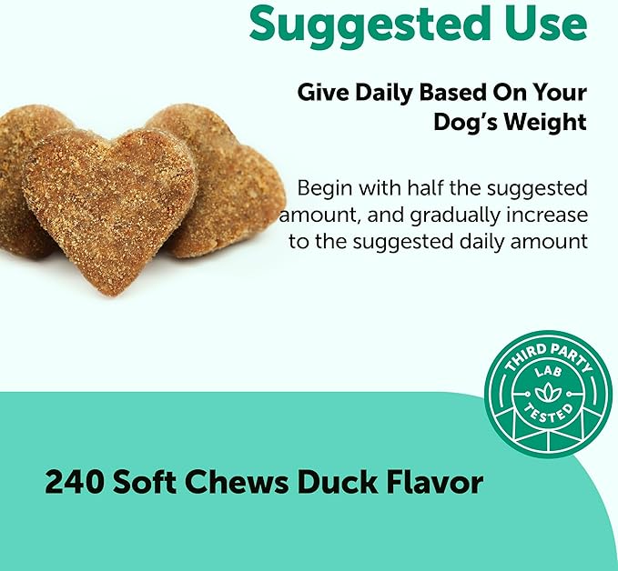 Micro Ingredients Probiotics for Dogs, 240 Soft Chews | Daily Digestive Health Probiotic Chews for Dogs with Prebiotics & Enzymes | Supports Gut Flora & Immune Function* | Non-GMO, Duck Flavor
