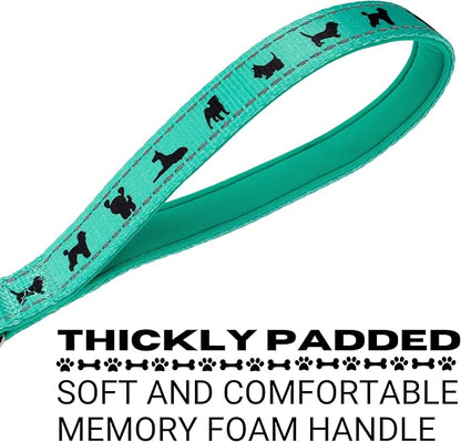 EcoBark Dog Leash - Soft & Reflective Comfort Training Leashes with Padded Handle - Safe, Strong, & Durable for Small, Medium or Large Dogs (Mint Turquoise)