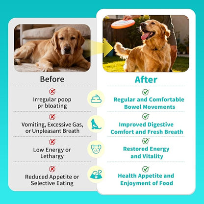 Probiotics for Dogs, Digestive Enzymes & Pumpkin Fiber for Gut Health and Bowel Support, Dog Supplement for Gas Relief & Constipation, 10B CFU with 5 Prebiotics & 5 Enzymes, 90 Count Beef Flavor