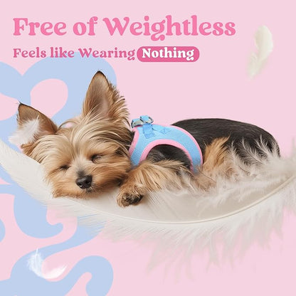 rabbitgoo Small Dog Harness, Step-in Soft Mesh Puppy Vest with Safety Buckle, Breathable Reflective Pet Harness for Large Dogs, Blue & Light Pink XXL