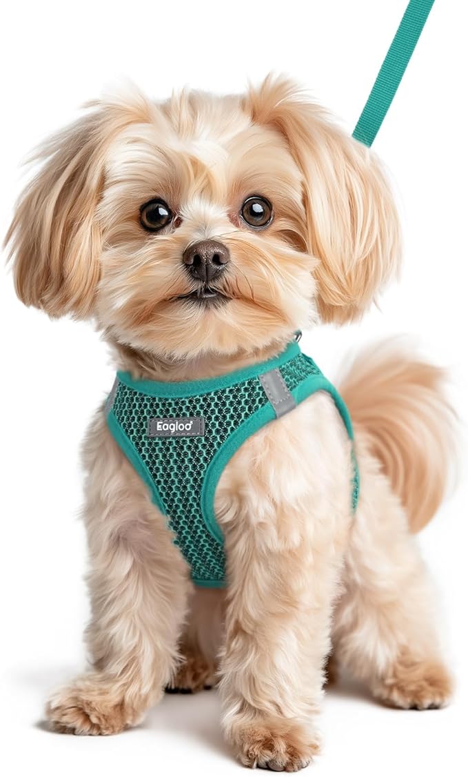 Eagloo Small Dog Harness and Leash Set, Step in Puppy Vest with Breathable Soft Mesh, Walking Reflective Pet Harness for Small Dogs, Forest Green, XS