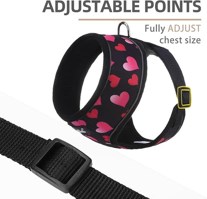 PUPTECK Soft Mesh Dog Harness and Leash Set Pet Puppy Cat Comfort Padded Vest No Pull Harnesses Valentine, Black&Pink, XS