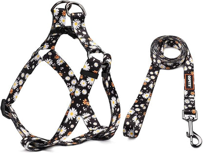 QQPETS Dog Harness Leash Set Adjustable Heavy Duty No Pull Halter Harnesses for Small Medium Large Breed Dogs Back Clip Anti-Twist Perfect for Walking (XS(12"-18" Chest Girth), White Daisy)
