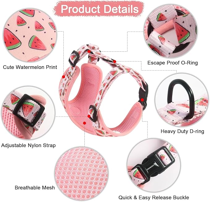 Coowone Dog Harness and Leash Set, Adjustable Puppy Harness and Soft Padded Dog Vest Clothes for Small Medium Large Dogs