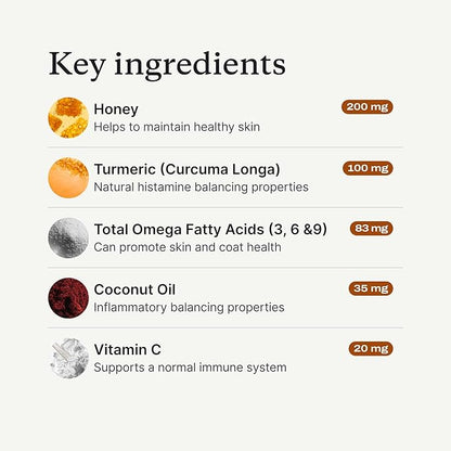 PetLab Co. Itch Relief Chews - Support for Dry, Occasionally Itchy Skin & Coats - Formulated with Turmeric, Omega 3 & 6, Honey - Packaging May Vary