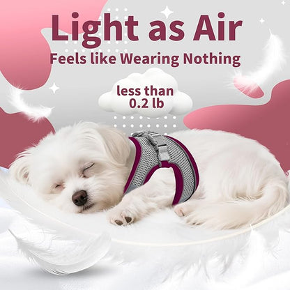 AIITLE Dog Harness, Christmas No-Pull Cat Harness with a Leash, Adjustable Reflective Puppy Vest Harness Escape Proof, Outdoor Walking, Running for Extra Small Dogs and House Cats Burgundy XXXS