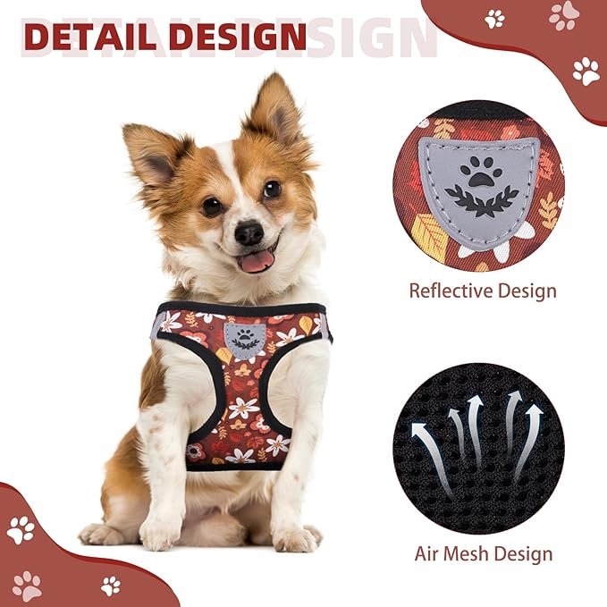 KOOLTAIL Fall Dog Harness and Leash Set for Small Medium Dogs, Autumn Step in No Pull Comfort Padded Pet Vest, Adjustable Reflective Easy Walking Puppy Cats Harness Training, Leaf & Flower S