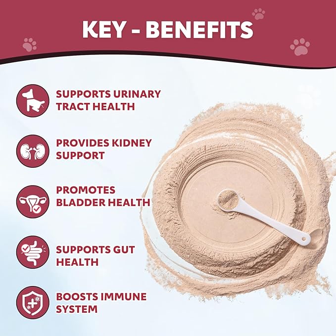 Powdered Cranberry Supplement for Dogs and Cats 120 Scoops UTI Treatment Powder with D-Mannose, Omega-3, Supports Pet Kidney Bladder Health Immune and Gut Support Bladder Control for Dogs