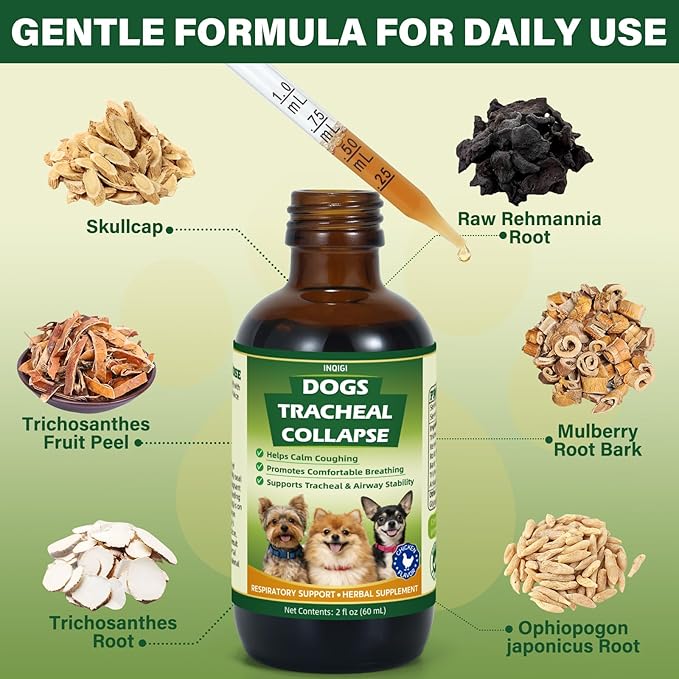 Dogs Tracheal Collapse Relief, Collapsed Trachea Treatment for Dogs, Helps Reduce Dry Cough & Support Easy Breathing, Natural Trachea Supplement, Chicken Flavor - 2 fl oz